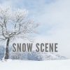 2strings - 窓の外は雪