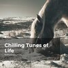 Nature Sounds、Sleep Sounds of Nature、Nature Sounds Nature Music - Jungle Full of Trees