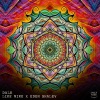 Like Mike、Eden Shalev - Dale