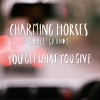 Charming Horses、Grace Grundy《You Get What You Give (Akustic Edit)》[MP3/LRC]