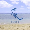 葱香科学家 - 大眠 (释怀版)