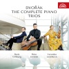 Veronika Jarůšková、Peter Jarůšek、Boris Giltburg - I. Allegro molto