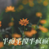 追梦 - 半痴半傻半疯癫