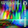 Steven Jay、PMB - The Sound Of Now (Radio Edit)