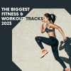 Maxi Kinzel - Back to You (Radio-Edit)