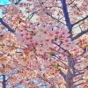 なぎさ - 大切なモノ