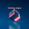 chicorée - Cutting edges