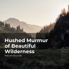 Nature Sounds、Sleep Sounds of Nature、Nature Sounds Nature Music - Overflowing Waterfalls