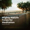Nature Sounds、Sleep Sounds of Nature、Nature Sounds Nature Music - Musical River Stream