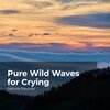Nature Sounds、Sleep Sounds of Nature、Nature Sounds Nature Music - Forest Night Crickets