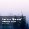 Nature Sounds、Sleep Sounds of Nature、Nature Sounds Nature Music - Dulcet Flowing River