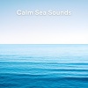 Calm Ocean Sounds、Calm Sea Sounds、Ocean Waves Radiance - Calm Sea Sounds, Pt. 1