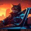 James Spyder - Cool Cats