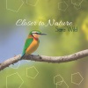 Sara Wild - Serenity and Relaxation