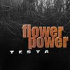 Testa、Veronika Coassolo - Bold Lover (feat. Veronika Coassolo)
