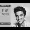 Elvis Presley《Blue Moon of Kentucky》[MP3/LRC]