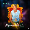 Sam E - My Promotion (Explicit)