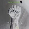 Acid Diver、Ronny Kvalheim、Thomas Kvalheim、Alina Renae - Not Giving Up