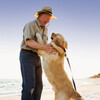 Binaural Systems、Soothing Ocean Sounds、Calm Pets Music Academy - Paws in the Soft Sand
