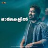 Vineeth Sreenivasan - Ormakalil