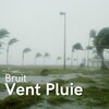 Musique pour dormir - Bruit Vent Pluie