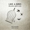 Rose Wanders - I'm Blue Bird