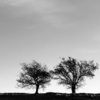 jon allen - Heat Of The Moment