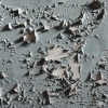 Black Canvas - Chipped Paint (Explicit)