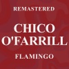 chico o'farrill《Flamingo (Remastered)》[MP3/LRC]