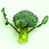 the green orbs - Broccoli On My Plate