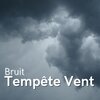 Musique pour dormir - Bruit Tempête Vent