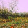 Nathan Taylor - Open Field