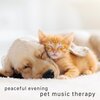 Pet Music Therapy - Peaceful Evening
