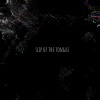squire - slip of the tongue