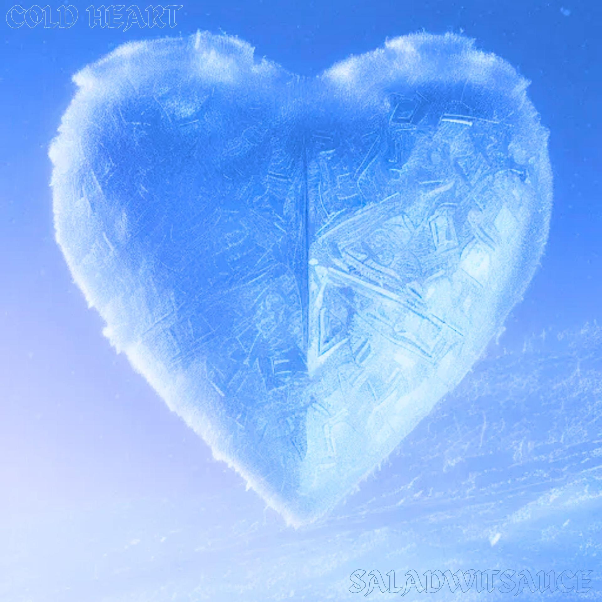 saladwitsauce - COLD HEART