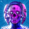 Shadow Cliq、Kill the Noise - Hollow World