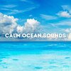 Calm Ocean Sounds - Calm Ocean Sounds, Pt. 1