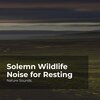 Nature Sounds、Sleep Sounds of Nature、Nature Sounds Nature Music - Constant Tidal Waves