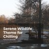 Nature Sounds、Sleep Sounds of Nature、Nature Sounds Nature Music - Tour in the Woodland