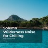 Nature Sounds、Sleep Sounds of Nature、Nature Sounds Nature Music - Walking in the Terrain