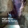 Nature Sounds、Sleep Sounds of Nature、Nature Sounds Nature Music - Massive Slow Waves