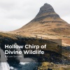 Nature Sounds、Sleep Sounds of Nature、Nature Sounds Nature Music - Splashing Cold River
