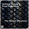 Antoine Delvig、Fred Pellichero - The Snake (Rework)