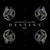 Sandy Rivera、Sara Kirby - DESTINY (Remix)