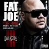 Fat Joe、Action Bronson《Your Honor (Explicit)》[MP3/LRC]