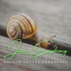 Chillout Jazz、Jazz Connections for Reading、Studying Music - Morning Brew Jazz
