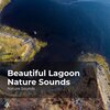Nature Sounds、Sleep Sounds of Nature、Nature Sounds Nature Music - Ramble in the Woods