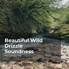 Nature Sounds、Sleep Sounds of Nature、Nature Sounds Nature Music - Ocean Waves Harmony