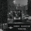 Candié、blackfish - Чувства