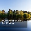 Nature Sounds、Sleep Sounds of Nature、Nature Sounds Nature Music - Peaceful in the Forest